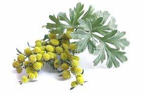 extracto de ajenjo en NEOflorax