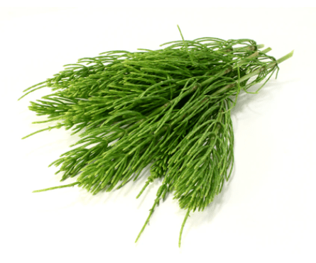 extracto de cola de caballo en NEOflorax